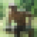 ���������� �������, ���� ������� �������, 45 ���, ������������ 