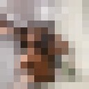 ���������� ������������, ���� ����� �����, 23 ����, ������������ ��� ������, ����� � ���������