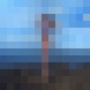  --,   , 29 ,   ,   , c 