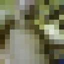  -,   , 32 ,   ,   