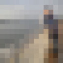  Antwerp,   TT_TT, 41 ,     , c 