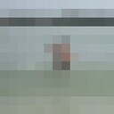  --,   , 30 ,   ,   , c 