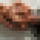  ,   Lolas 2, 44 ,   ,   , c , 