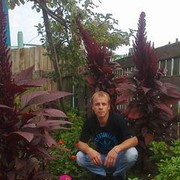  ,   , 42 ,   