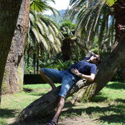 ���������� ������-��-����, ���� ������� ������, 42 ����, ������������ ��� ������, ����� � ���������, c�������� ���������, ���������