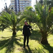 ���������� ������, ���� ������� ������, 37 ���, ������������ ��� ����� � ���������, c�������� ���������