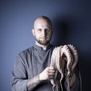 ���������� ������, ���� ������� ���������, 36 ���, ������������ ��� ������, ����� � ���������