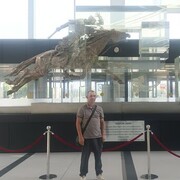  ,   , 43 ,     , c , 