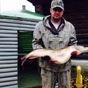 ���������� ������, ���� ������� ������, 49 ���, ������������ ��� ������, ����� � ���������, c�������� ���������