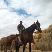 ���������� ������, ���� ������� ��������, 42 ����, ������������ ��� ������, ����� � ���������, c�������� ���������