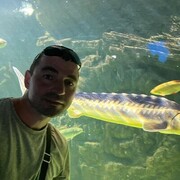 ���������� �������, ���� ������� ���������, 44 ����, ������������ ��� ������, ����� � ���������, c�������� ���������, ���������