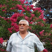  ,   , 65 ,   ,   