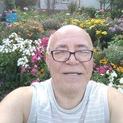  ,   , 65 ,   ,   