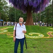 ���������� ����, ���� ������� ���, 72 ����, ������������ ��� ������, ����� � ���������