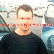  -,   , 41 ,  