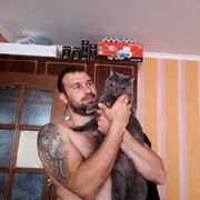  -,   , 37 ,   ,   