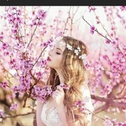 ���������� �����-���������, ���� ������� ������, 20 ���, ������������ ��� ����� � ���������, ���������