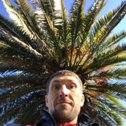 ���������� �����, ���� ������� �����, 36 ���, ������������ ��� ������, ����� � ���������, c�������� ���������