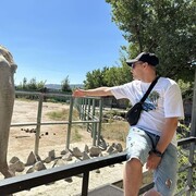 ���������� ������, ���� ������� �������, 35 ���, ������������ ��� ������, ����� � ���������, c�������� ���������, ���������