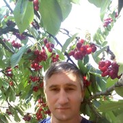 ���������� ����������, ���� ������� ����, 55 ���, ������������ ��� ����� � ���������, c�������� ���������