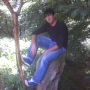  ,   Gurami, 38 ,     , c 
