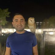 ���������� ����, ������� ����, 45