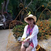  ,   , 63 ,   ,   , c 