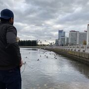 ���������� �����, ���� ������� �����, 29 ���, ������������ ��� ������, ����� � ���������, c�������� ���������, ���������