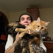 ���������� �����-���������, ���� ����� ����������, 22 ����, ������������ ��� ������, ����� � ���������