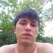 ���������� ������, ���� ������� Boxodir, 26 ���, ������������ ��� ������, ����� � ���������