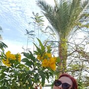 ���������� ������, ���� ������� Lina, 44 ����, ������������ ��� ����� � ���������, c�������� ���������