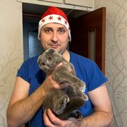 ���������� �����, ���� ������� �������, 37 ���, ������������ ��� ������, ����� � ���������