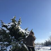 ���������� �����������, ���� ������� ��������, 45 ���, ������������ ��� ����� � ���������, c�������� ���������