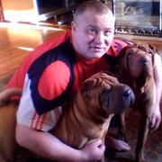  ,   , 53 ,   