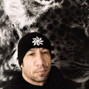 ���������� �����-���������, ���� ������� Bek, 40 ���, ������������ ��� ������, ����� � ���������