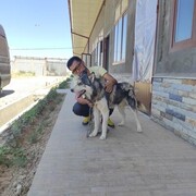  ,   , 32 ,   ,   
