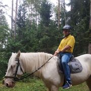 ���������� �����, ���� ������� ����, 48 ���, ������������ ��� ������, ����� � ���������, c�������� ���������