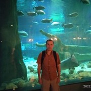 ���������� ������, ���� ������� ��������, 39 ���, ������������ ��� ������, ����� � ���������