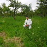  ,   , 39 ,   