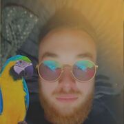 ���������� ���������, ���� ������� �������, 33 ����, ������������ ��� ������, ����� � ���������, c�������� ���������, ���������