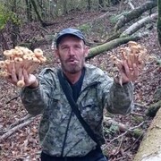 ,  , 46