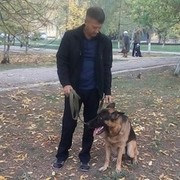  ,   , 50 ,   