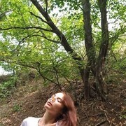  -,   , 22 ,   ,   