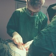 ���������� �����, ���� ������� Giorgi, 39 ���, ������������ ��� ������, ����� � ���������, c�������� ���������