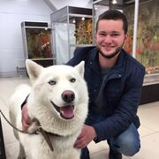 ���������� �����-���������, ���� ������� ��������, 33 ����, ������������ ��� ������, ����� � ���������