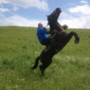 ���������� ���������, ���� ������� �����, 48 ���, ������������ ��� ������, ����� � ���������