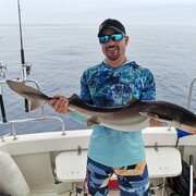 ���������� �����������, ���� ������� ������, 35 ���, ������������ ��� ������, ����� � ���������