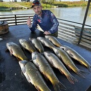 ���������� ������, ���� ������� ������, 43 ����, ������������ ��� ������, ����� � ���������