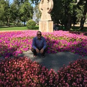 ���������� ������, ���� ������� ���, 49 ���, ������������ ��� ���������