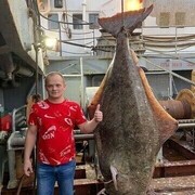 ���������� �������, ���� ������� �����, 38 ���, ������������ 